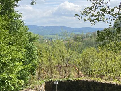 Foto da Arthur Muskalla lungo il tour