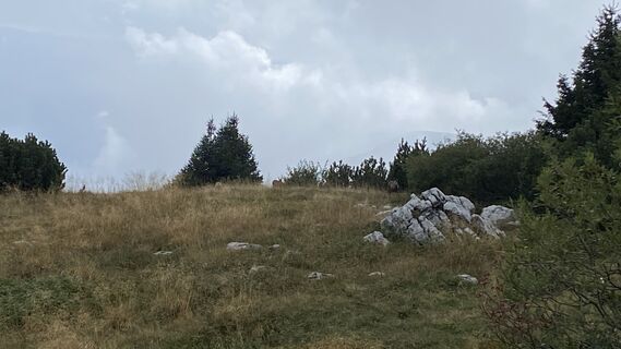 Foto von Ma Wa entlang der Tour
