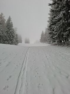 Foto von Helmut Koeck entlang der Tour