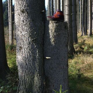 Gusen-Ursprung Runde