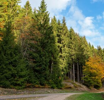 Wanderung Richtung Bärenstein beim Bahnhof Oberhof