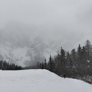 Fotografija s spletne strani Daniele Da Rio na poti