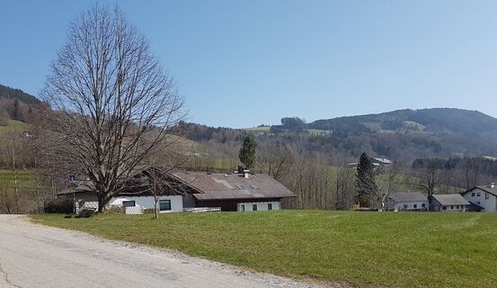 Blick zum Mondseeberg