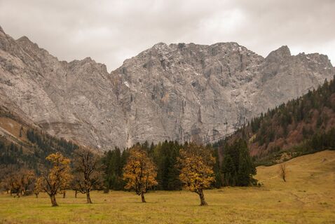 Karwendel, Engalm, Ahornboden_Tirol Werbung_Braun Jannis_Achenkirch am Achensee-2.jpg