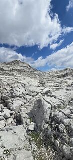 Fotografija s spletne strani Richard Seba na poti