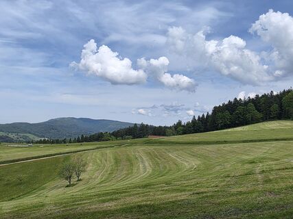 Fotografija s spletne strani Noreen (NoKe) na poti