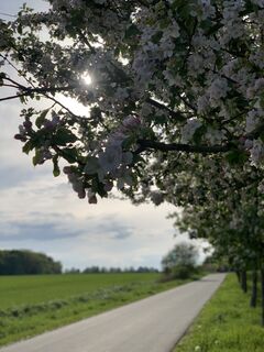 Foto von Thomas Clemens entlang der Tour