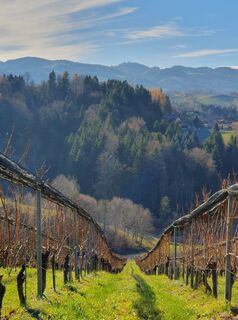 Foto von Gabriele R entlang der Tour