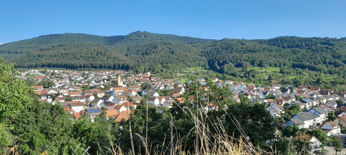 Aussicht vom "Bergle"