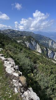Zdjęcie z Mountain Cat ? ⛰️ wzdłuż trasy