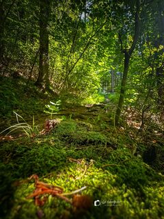 Fotografija s spletne strani Leo Fahrngruber na poti