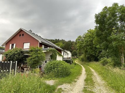 Zdjęcie z justasimpleguy wzdłuż trasy