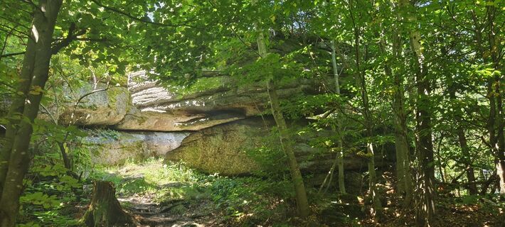 Foto de Sonja Enzenhofer a lo largo del recorrido