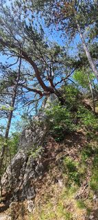 Foto de Alexandra Stani a lo largo del recorrido