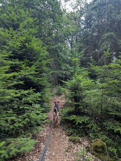 Photo de thmetzlee le long du parcours