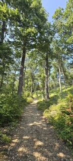 Fotó a Hieu Duc Tram honlapról a túra során