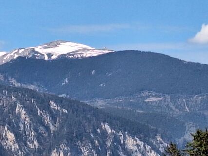 Fotografia z Herbert Eckelhart na trase