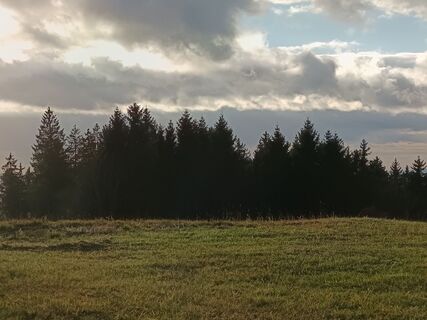 Foto von Harald entlang der Tour