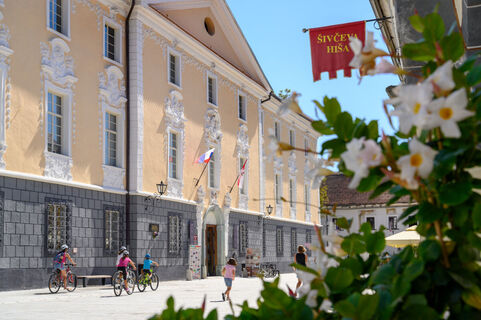 Radovliška Burg