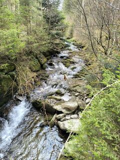Foto van Ildikó Dávidné Nagy langs de tour