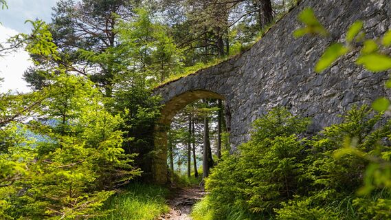 Porta Claudia Scharnitz - Tor mit kleinen Tannen.jpg