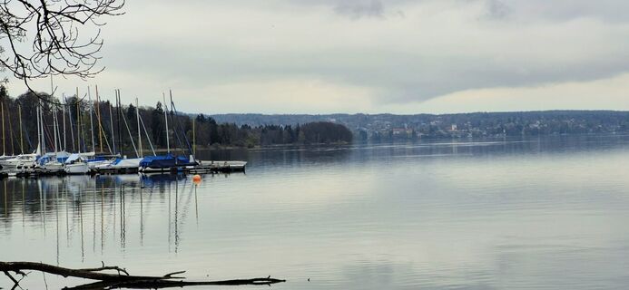 Photo de Thomas Schekira le long du parcours