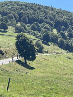 Photo de lotharkoerner le long du parcours