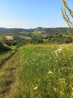 Фото с сайта hananh во время экскурсии