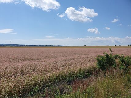 Fotografie z Jeannette Zainzinger na trase