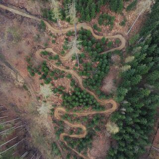 Sandy Trail - T80