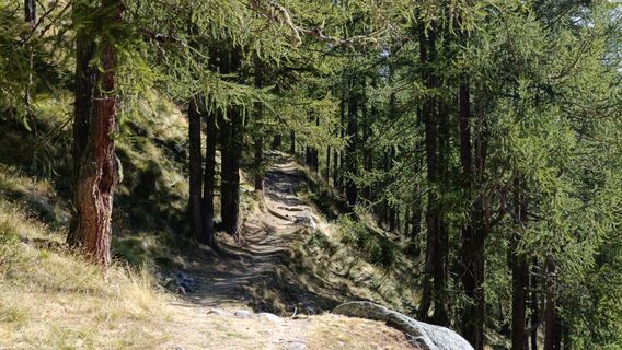 Foto de Maurizio Dell'acqua a lo largo del recorrido