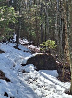 Photo de Mimi le long du parcours