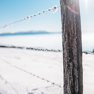 Winter - glitzernder Schnee