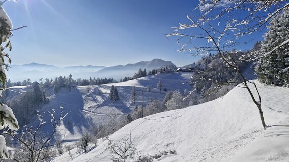 Fotografija s spletne strani Štefan Jenko na poti