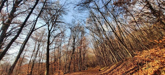 Zdjęcie z Daniele Spezia wzdłuż trasy