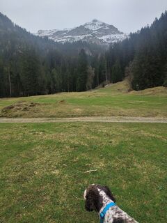 Foto von Ronny7103 entlang der Tour