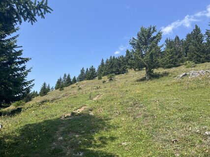 Foto von Andreas Hanzalek entlang der Tour