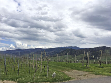 Aussicht vom Rastplatz Käsreut