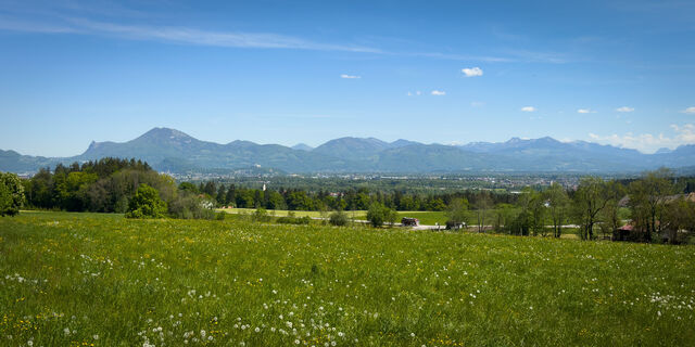 260503 - Höglrunde