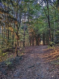 Photo de David Hincziza le long du parcours