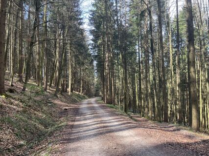 Zdjęcie z Jonathan Unterweger wzdłuż trasy