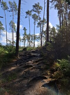 Photo de nordbergschnecke le long du parcours