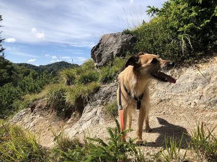 Foto von Robert Mares entlang der Tour