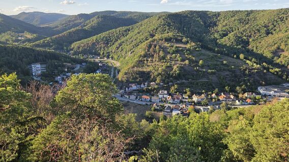 Photo de Brueckl Harald le long du parcours