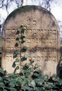 Der Jüdische Friedhof Schwarzrheindorf 