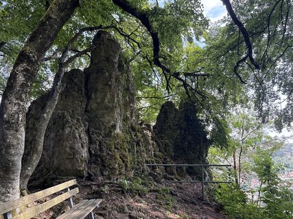 Foto von Tine Harth entlang der Tour