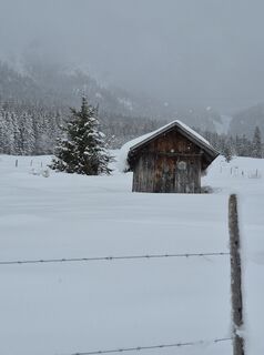 Photo de Anja Mohn-Gross le long du parcours