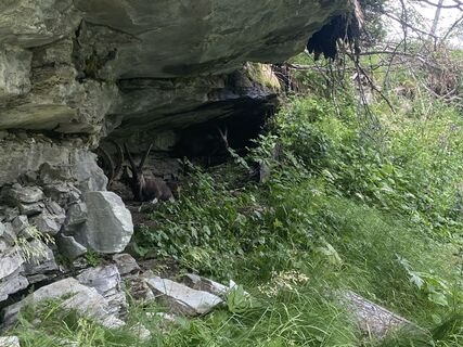Photo de Tina Gehrig le long du parcours