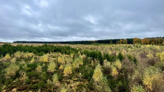 Foto da Les aventures de Ghislain lungo il tour