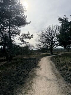 Fotografie z Martijn van den Broeke na trase